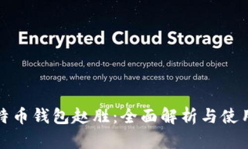 : 比特币钱包赵胜：全面解析与使用指南