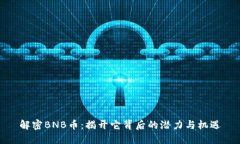解密BNB币：揭开它背后的潜力与机遇