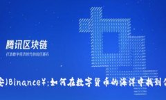 探索币安（Binance）：如何在数字货币的海洋中找