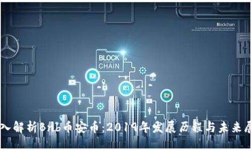 深入解析Bnb币安币：2019年发展历程与未来展望