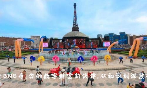 探索BNB币：你的数字财富新伙伴，从初识到深度剖析