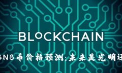 2025年BNB币价格预测：未来是光明还是暗淡？
