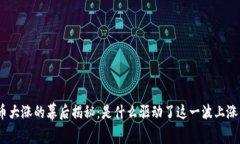 BNB币大涨的幕后揭秘：是什么驱动了这一波上涨