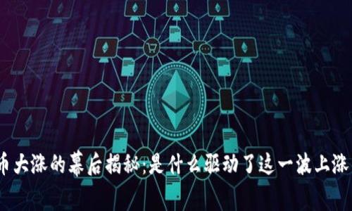 BNB币大涨的幕后揭秘：是什么驱动了这一波上涨热潮？