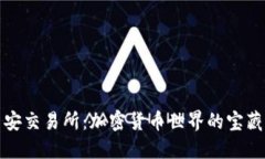 探索币安交易所：加密货币世界的宝藏与挑战