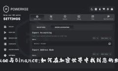 揭秘Aluce与Binance：如何在加密世界中找到您的财