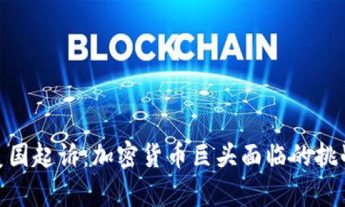 Binance被美国起诉：加密货币巨头面临的挑战与未来前景