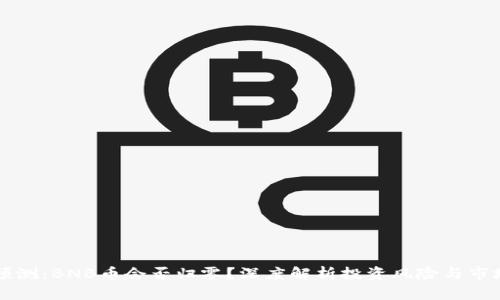 未来预测：BNB币会否归零？深度解析投资风险与市场前景