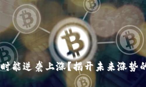 BNB币：何时能逆袭上涨？揭开未来涨势的神秘面纱