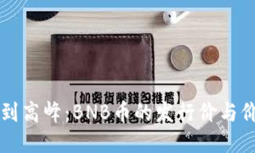 从0.15美元到高峰：BNB币的发行价与价格演变之旅