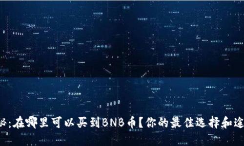 揭秘：在哪里可以买到BNB币？你的最佳选择和途径！