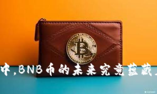在波动的币圈中，BNB币的未来究竟蕴藏着怎样的希望？