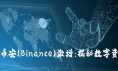 如何让你的财富在币安(Binance)激增：揭秘数字资