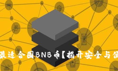 哪个钱包最适合囤BNB币？揭开安全与便捷的秘密