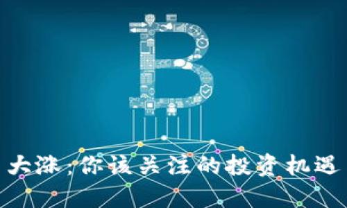 BNB币大涨：你该关注的投资机遇与风险