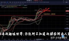 探索BNB币的趣味世界：你绝对不知道的那些鲜为