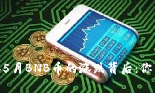 揭秘！2018年5月BNB币的涨跌背后：你不知道的故事