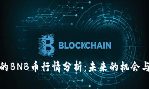 今天的BNB币行情分析：未来的机会与挑战