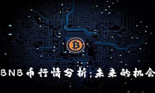 今天的BNB币行情分析：未来的机会与挑战