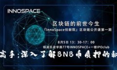 从新手到高手：深入了解BNB币质押的秘密与收益