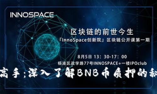 从新手到高手：深入了解BNB币质押的秘密与收益