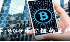 即将来临的变革：BNB币公链的主网上线时间揭晓