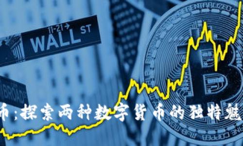 OTB币与BNB币：探索两种数字货币的独特魅力与投资机会