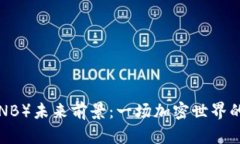 币安币（BNB）未来前景：一场加密世界的投资奇