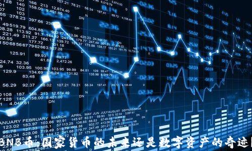 
BNB币：国家货币的未来还是数字资产的奇迹？