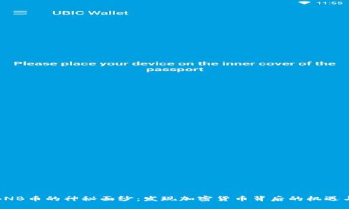 揭开BNB币的神秘面纱：发现加密货币背后的机遇与挑战