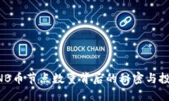 揭秘BNB币节点数量背后的秘密与投资潜力