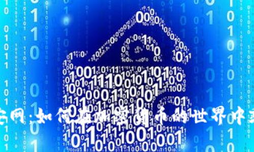 探索币安网：如何在加密货币的世界中乘风破浪