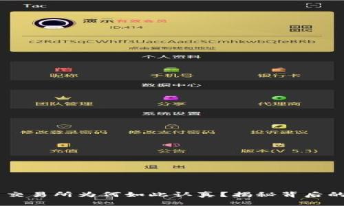 深入了解：BNB币交易所为何如此认真？揭秘背后的秘密与投资机遇