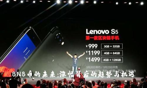 BNB币的未来：涨幅背后的趋势与机遇