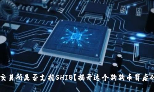 币安交易所是否支持SHIB？揭开这个狗狗币背后的秘密