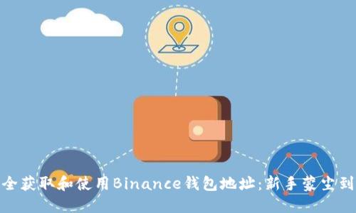 如何安全获取和使用Binance钱包地址：新手蒙尘到高手? 