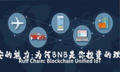 探索币安的魅力：为何BNB是你投资的理想选择？