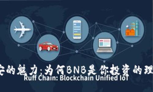 探索币安的魅力：为何BNB是你投资的理想选择？