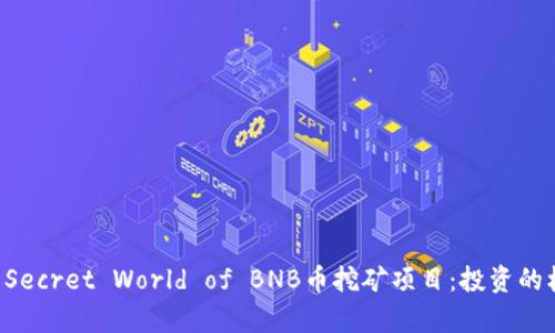Discover the Secret World of BNB币挖矿项目：投资的机会与风险并存