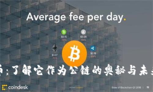 BNB币：了解它作为公链的奥秘与未来潜力