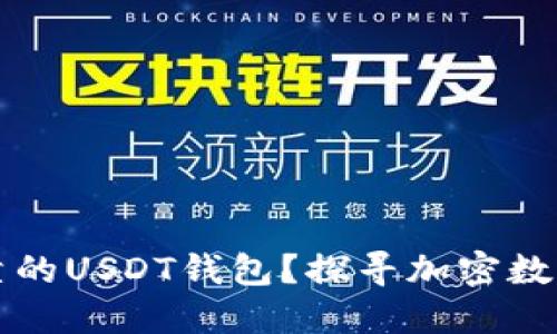如何选择安全可靠的USDT钱包？探寻加密数字资产的保护秘籍