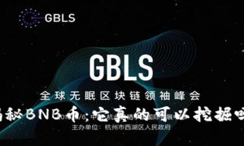 揭秘BNB币：它真的可以挖掘吗？