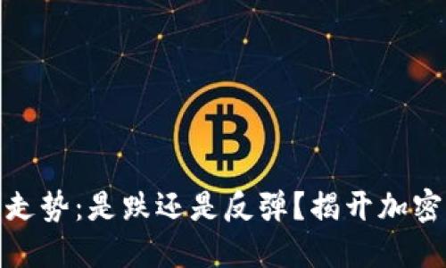 BNB币未来走势：是跌还是反弹？揭开加密市场的秘密