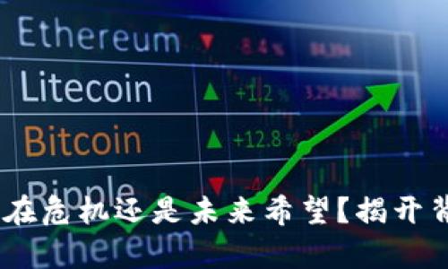 BNB币：潜在危机还是未来希望？揭开背后的真相