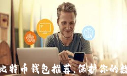 
安全可靠的比特币钱包推荐，保护你的数字资产之旅