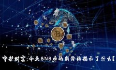 守护财富：今天BNB币的新价格揭示了什么？