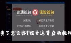 比特币钱包黄了怎么办？揭开这背后的挑战与应