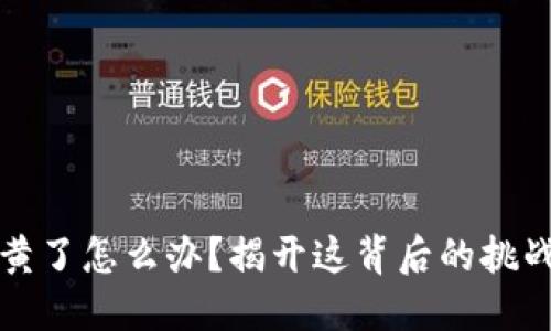 比特币钱包黄了怎么办？揭开这背后的挑战与应对策略