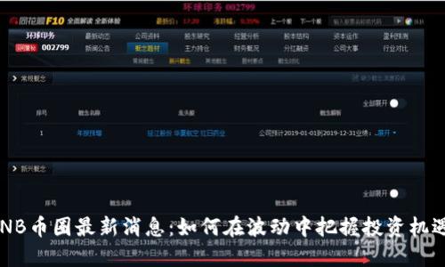 BNB币圈最新消息：如何在波动中把握投资机遇？