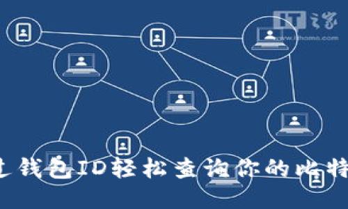 如何通过钱包ID轻松查询你的比特币余额？